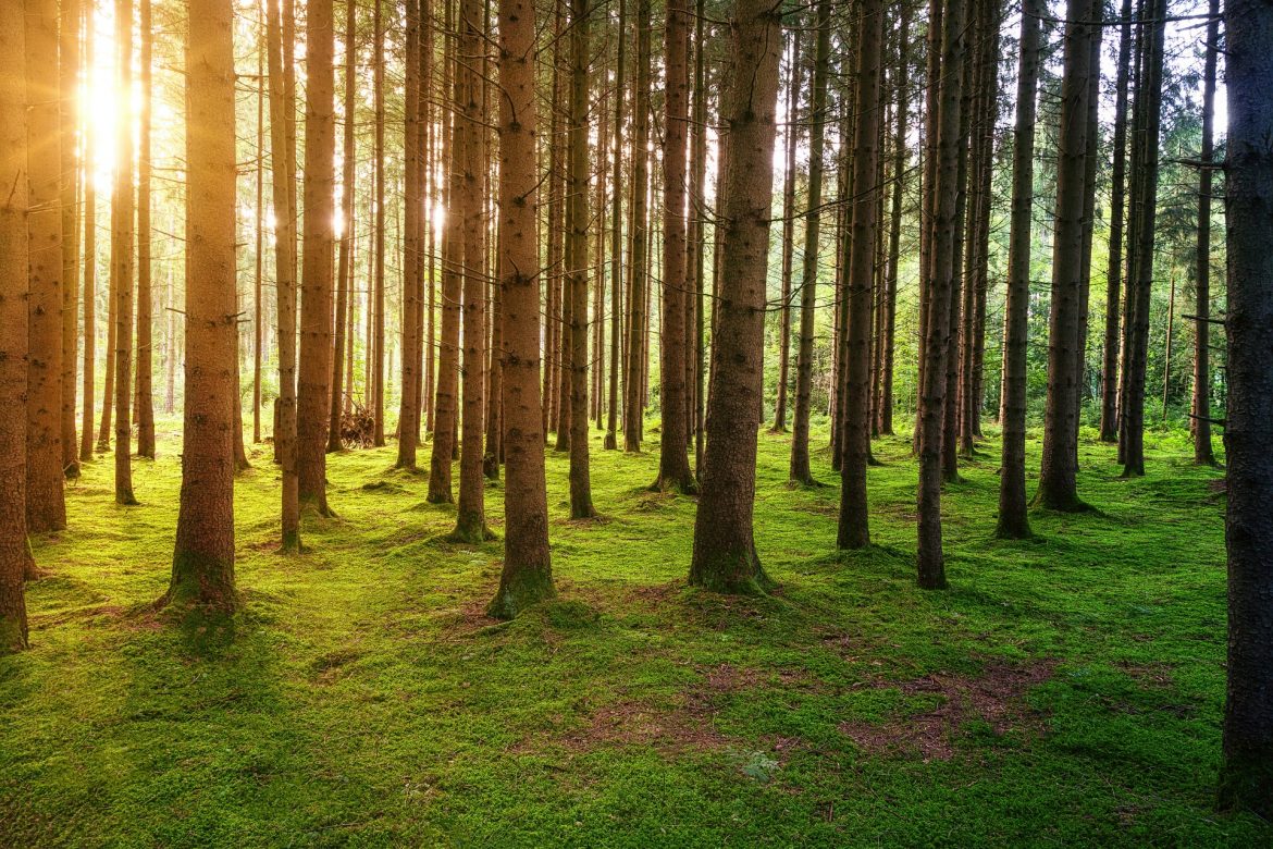 Fun Hobbies to Get Healthier and Outdoors